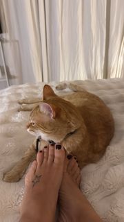 Flavia Palmiero feet photo thumbnail