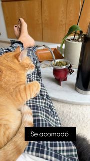 Flavia Palmiero feet photo thumbnail