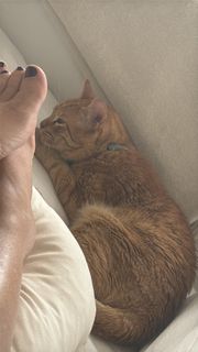 Flavia Palmiero feet photo 14