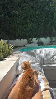 Flavia Palmiero feet photo 8