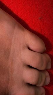 Flavia Saraiva feet photo 4