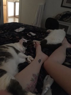Flavia Sayuri feet photo thumbnail