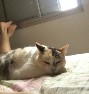 Flavia Sayuri feet photo thumbnail