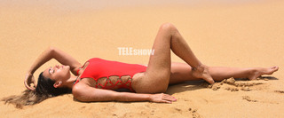 Floppy Tesouro feet photo 9