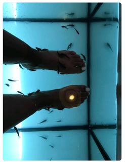 Flora Coquerel feet photo 1
