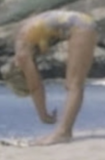 Florence Henderson feet photo 14