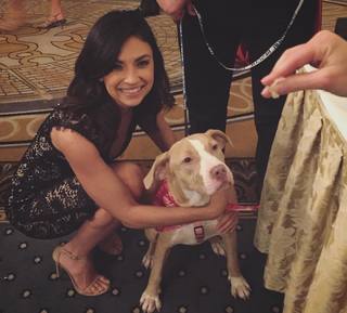 Floriana Lima feet photo 3