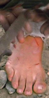 Florinda Bolkan feet photo 19