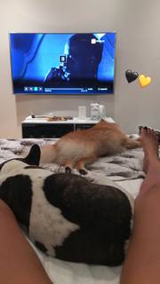 Flávia Alessandra feet photo thumbnail
