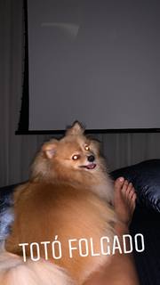 Flávia Alessandra feet photo thumbnail