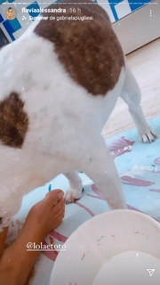 Flávia Alessandra feet photo thumbnail