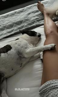 Flávia Alessandra feet photo thumbnail