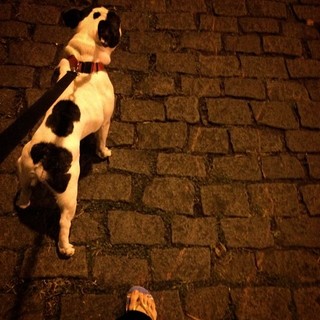 Flávia Monteiro feet photo 10