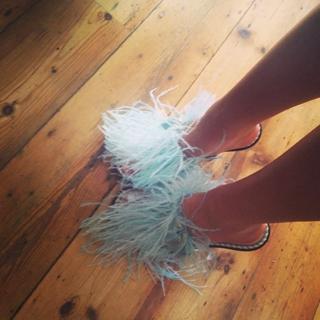 Foxes feet photo 3