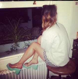 Foxes feet photo 15