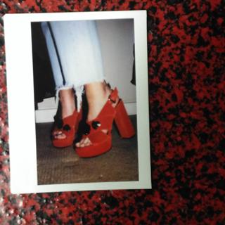 Foxes feet photo 20