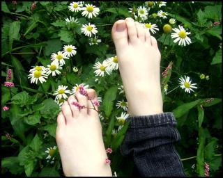 Foxy Feet feet photo 9