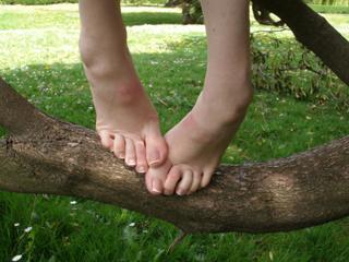 Foxy Feet feet photo 16