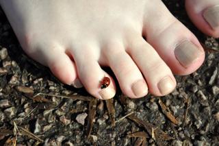 Foxy Feet feet photo 20