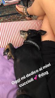 Francesca Belussi feet photo 20