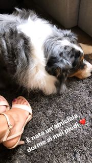 Francesca Belussi feet photo 10
