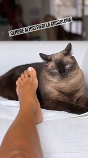 Francesca Belussi feet photo 10