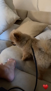 Francesca Brambilla feet photo 9