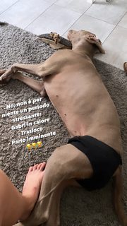 Francesca Ferragni feet photo 13