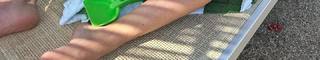 Francesca Ferragni feet photo 20