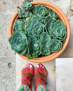 Francesca Leto feet photo thumbnail