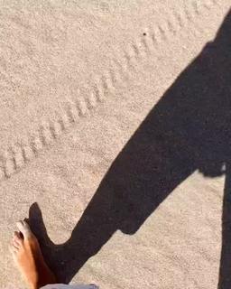 Francesca Lodo feet photo 11
