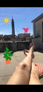 Francesca Valtorta feet photo 17