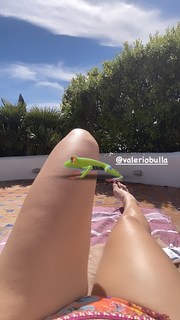 Francesca Valtorta feet photo 12