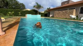 Franciele Souza feet photo 18