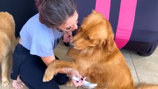 Franciele Souza feet photo 18