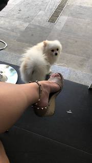 Franciely Freduzeski feet photo thumbnail