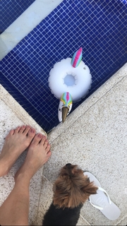 Franciely Freduzeski feet photo thumbnail