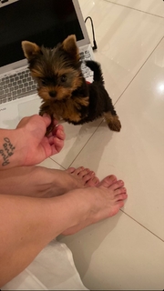 Franciely Freduzeski feet photo thumbnail