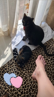 Franciely Freduzeski feet photo thumbnail