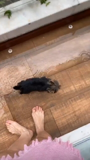 Franciely Freduzeski feet photo thumbnail
