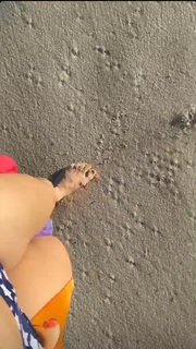 Franciely Freduzeski feet photo thumbnail