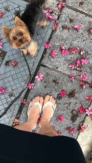 Franciely Freduzeski feet photo thumbnail