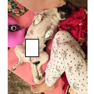 Francine Piaia feet photo 2