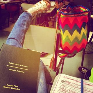 Francine Piaia feet photo 16