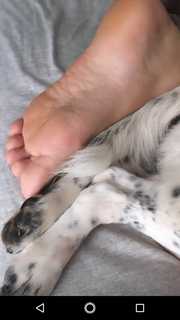 Francine Piaia feet photo 16