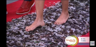 Francisca Lachapel feet photo 5