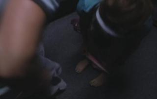 Frankie Shaw feet photo 19