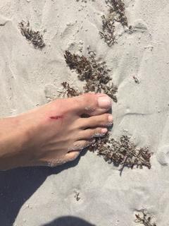 Fredricka Whitfield feet photo 9