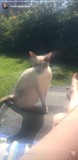 Freya Nightingale feet photo thumbnail