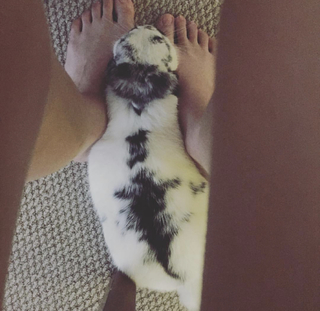 FrivolousFox ASMR feet photo thumbnail